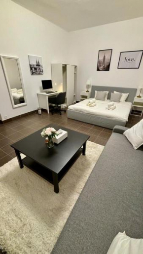 stunning apartment in Prague 3